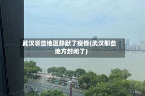 武汉哪些地区静默了疫情(武汉那些地方封闭了)