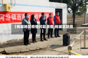 【桃城地区疫情问题调查,桃城区防疫】