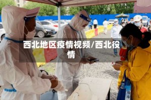 西北地区疫情视频/西北役情