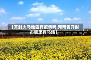 【开封大马地区有疫情吗,河南省开封市哪里有马场】