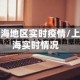 上海地区实时疫情/上海实时情况