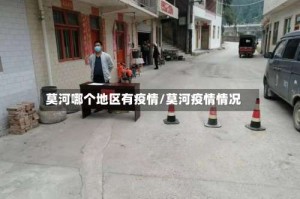 莫河哪个地区有疫情/莫河疫情情况