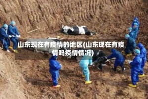 山东现在有疫情的地区(山东现在有疫情吗疫情情况)