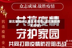 湖北襄阳什么地区有疫情(湖北襄阳有无疫情)