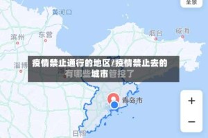 疫情禁止通行的地区/疫情禁止去的城市