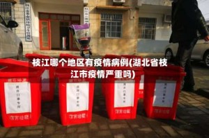枝江哪个地区有疫情病例(湖北省枝江市疫情严重吗)