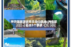 神农架旅游攻略自由行路线/神农架必去5个景点