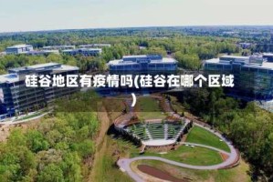 硅谷地区有疫情吗(硅谷在哪个区域)
