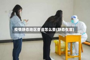 疫情静态地区查询怎么查(静态在哪)