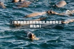 【热带地区企鹅疫情情况,热带也有企鹅生存】