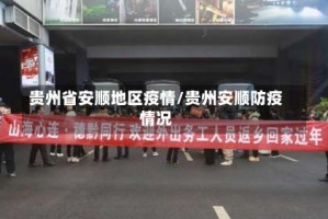 贵州省安顺地区疫情/贵州安顺防疫情况