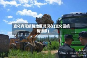宣化有无疫情地区吗现在(宣化区疫情通报)