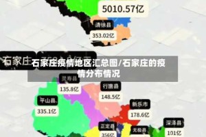 石家庄疫情地区汇总图/石家庄的疫情分布情况