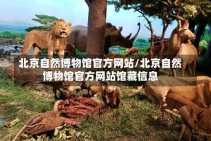 北京自然博物馆官方网站/北京自然博物馆官方网站馆藏信息