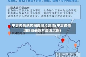 宁夏疫情地区图表图片高清(宁夏疫情地区图表图片高清大图)