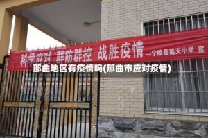 那曲地区有疫情吗(那曲市应对疫情)