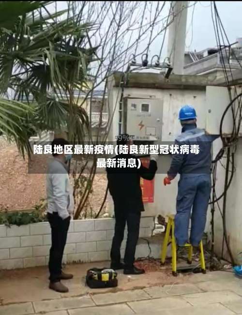 陆良地区最新疫情(陆良新型冠状病毒最新消息)-第2张图片