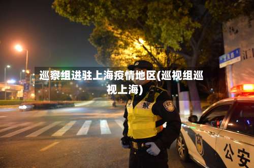 巡察组进驻上海疫情地区(巡视组巡视上海)-第1张图片