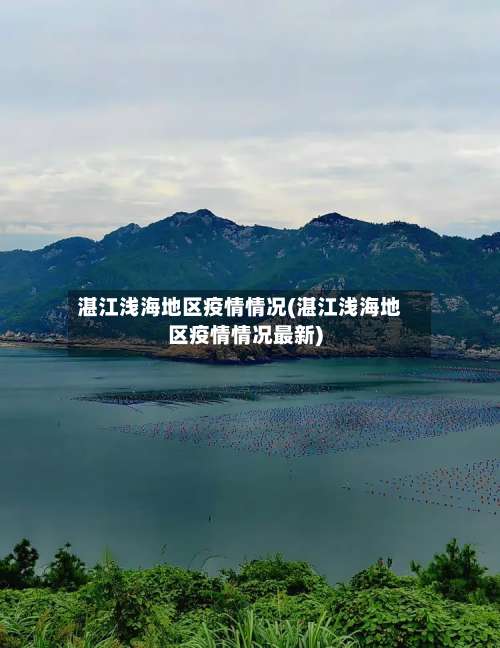 湛江浅海地区疫情情况(湛江浅海地区疫情情况最新)-第1张图片