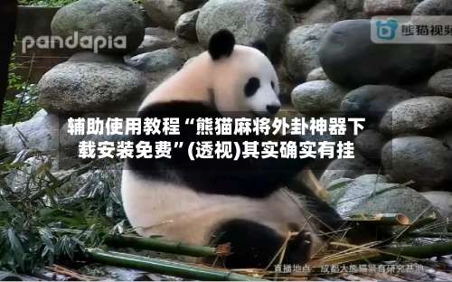 辅助使用教程“熊猫麻将外卦神器下载安装免费”(透视)其实确实有挂-第2张图片