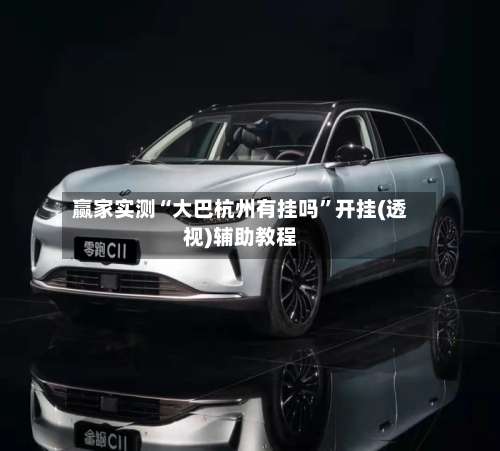 赢家实测“大巴杭州有挂吗”开挂(透视)辅助教程-第2张图片