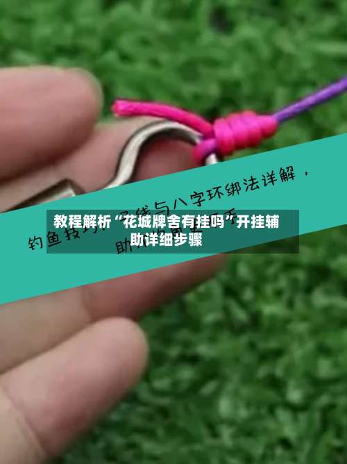 教程解析“花城牌舍有挂吗”开挂辅助详细步骤-第1张图片