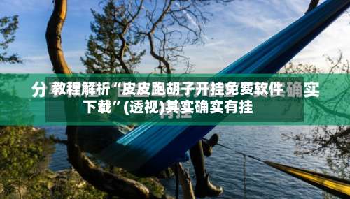 教程解析“皮皮跑胡子开挂免费软件下载	”(透视)其实确实有挂-第1张图片