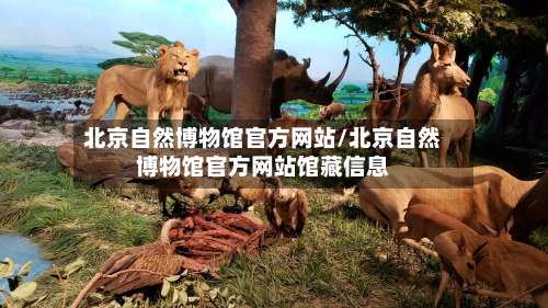 北京自然博物馆官方网站/北京自然博物馆官方网站馆藏信息-第1张图片