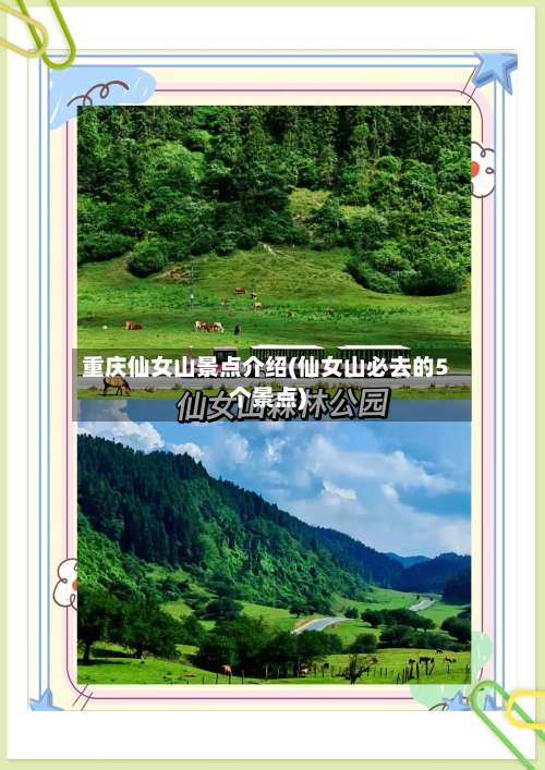 重庆仙女山景点介绍(仙女山必去的5个景点)-第1张图片