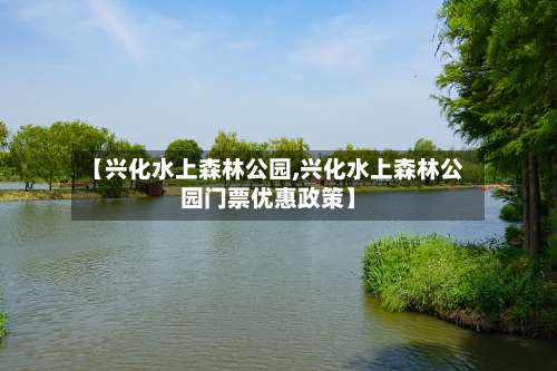 【兴化水上森林公园,兴化水上森林公园门票优惠政策】-第1张图片