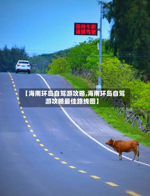 【海南环岛自驾游攻略,海南环岛自驾游攻略最佳路线图】-第1张图片