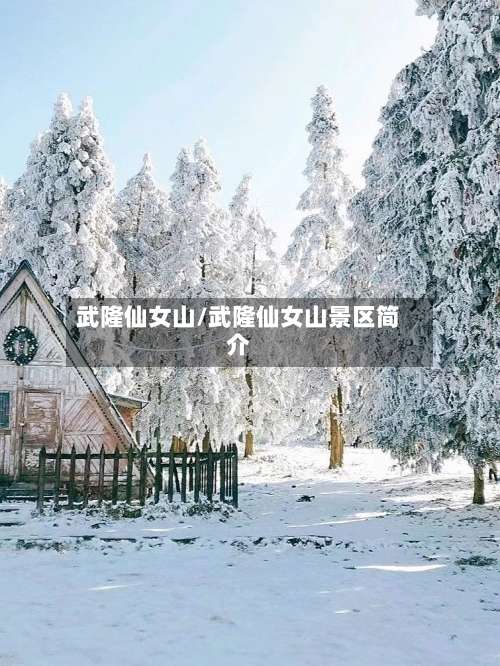 武隆仙女山/武隆仙女山景区简介-第2张图片