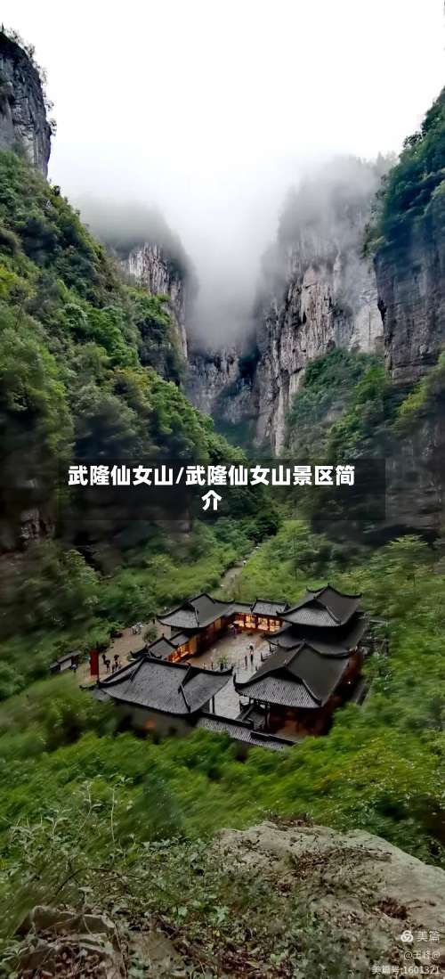 武隆仙女山/武隆仙女山景区简介-第3张图片