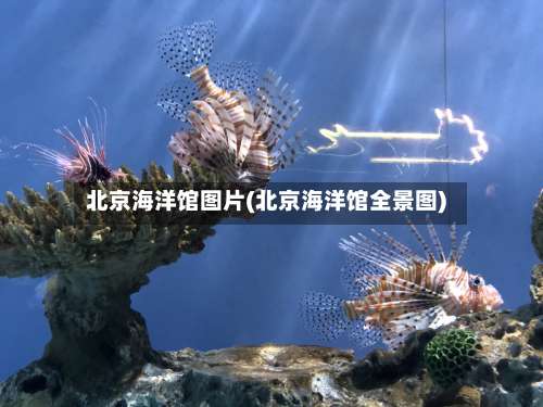 北京海洋馆图片(北京海洋馆全景图)-第1张图片