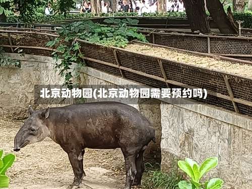 北京动物园(北京动物园需要预约吗)-第1张图片