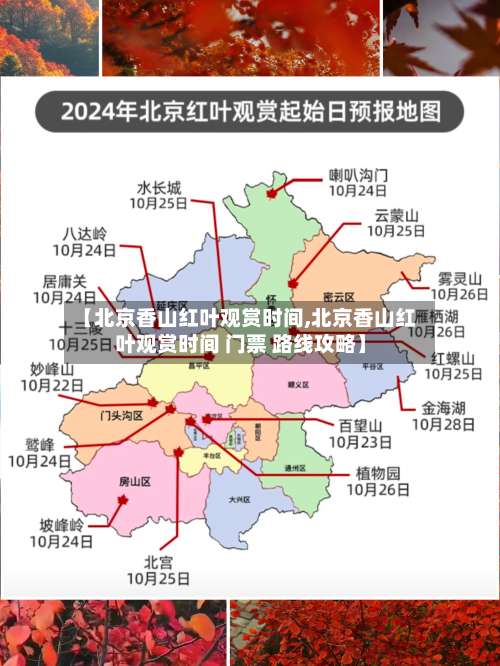 【北京香山红叶观赏时间,北京香山红叶观赏时间 门票 路线攻略】-第1张图片