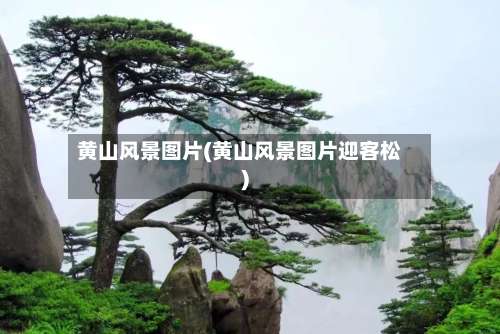 黄山风景图片(黄山风景图片迎客松)-第2张图片