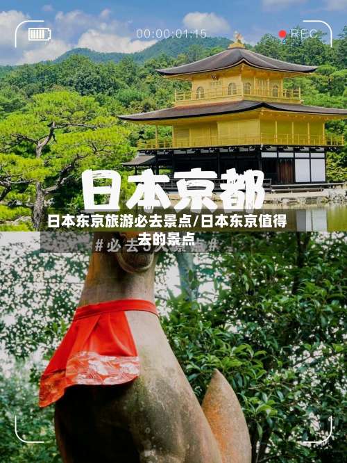 日本东京旅游必去景点/日本东京值得去的景点-第3张图片