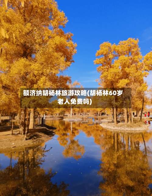 额济纳胡杨林旅游攻略(胡杨林60岁老人免费吗)-第2张图片
