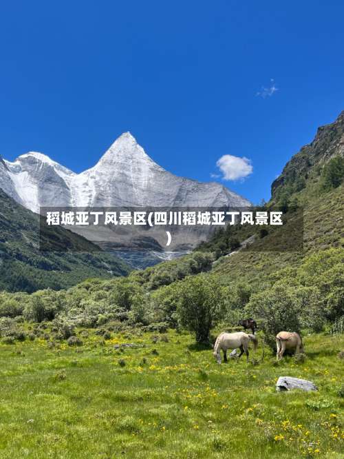 稻城亚丁风景区(四川稻城亚丁风景区)-第2张图片