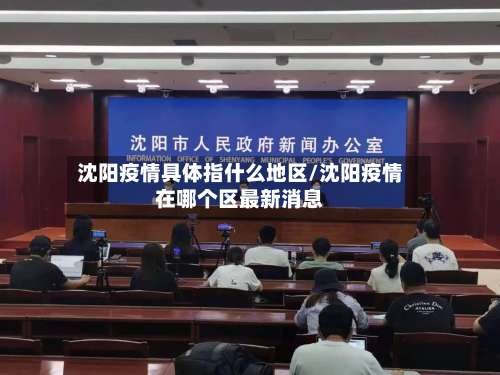 沈阳疫情具体指什么地区/沈阳疫情在哪个区最新消息-第2张图片