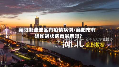 襄阳哪些地区有疫情病例/襄阳市有确诊冠状病毒患者吗?-第1张图片