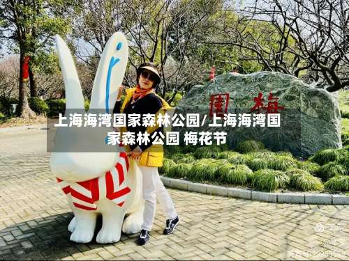 上海海湾国家森林公园/上海海湾国家森林公园 梅花节-第1张图片