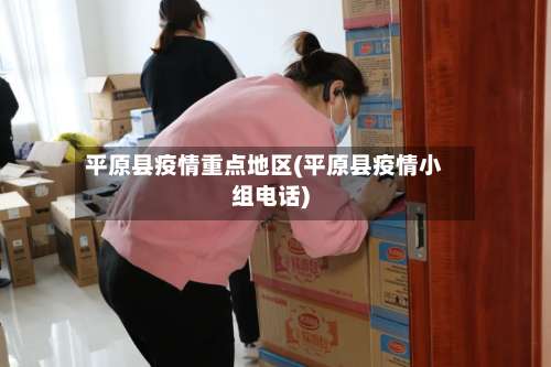 平原县疫情重点地区(平原县疫情小组电话)-第3张图片