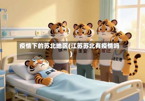疫情下的苏北地区(江苏苏北有疫情吗)-第2张图片