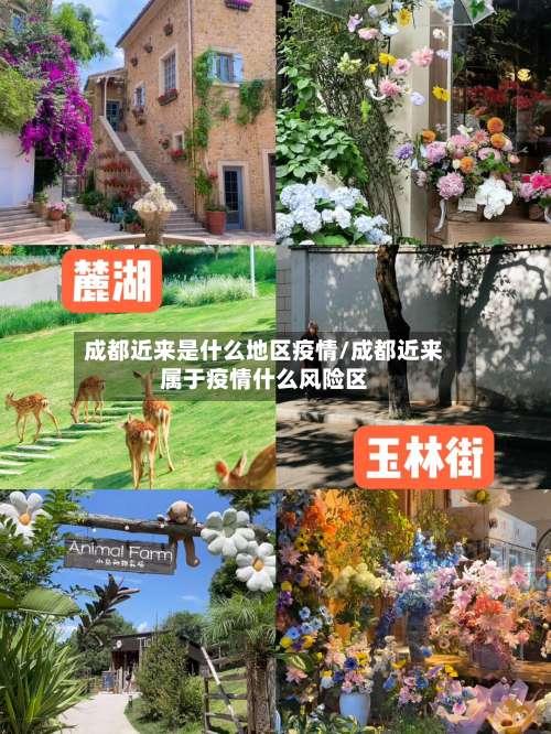 成都近来是什么地区疫情/成都近来属于疫情什么风险区-第1张图片