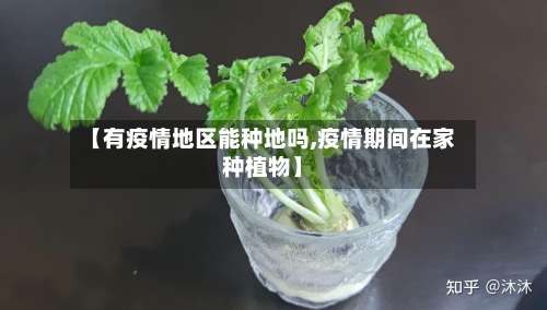 【有疫情地区能种地吗,疫情期间在家种植物】-第3张图片