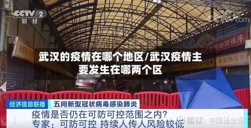 武汉的疫情在哪个地区/武汉疫情主要发生在哪两个区-第1张图片
