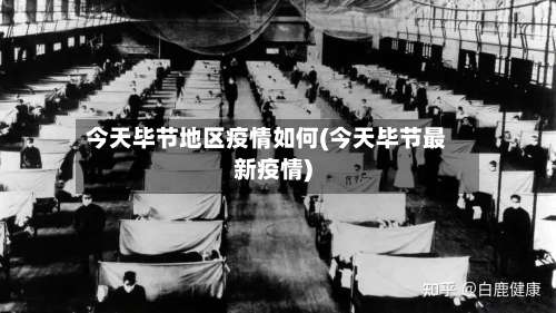 今天毕节地区疫情如何(今天毕节最新疫情)-第3张图片