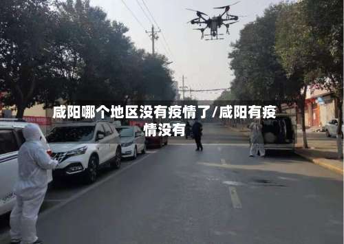 咸阳哪个地区没有疫情了/咸阳有疫情没有-第1张图片